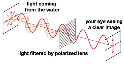 The Distinction Between Effective and Ineffective Polarized Sunglasses